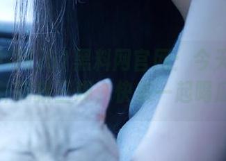 51黑料网官网：今天又被圈内八卦刷新三观，快来一起喝瓜水！