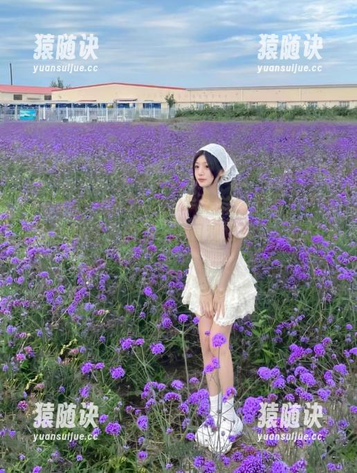 520.fun苹果版，紧急召集所有吃瓜群众，咱们一起围观这场‘人间百态’！