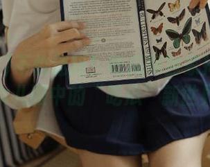 不怕迷路！吃瓜网独家揭秘：顾客女儿眼中的“吃瓜”新世界！