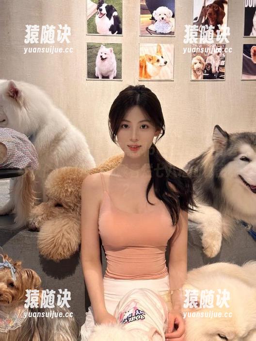 登录黑料668su，为什么每次传送门后面都藏着烂七八糟的秘密呢？