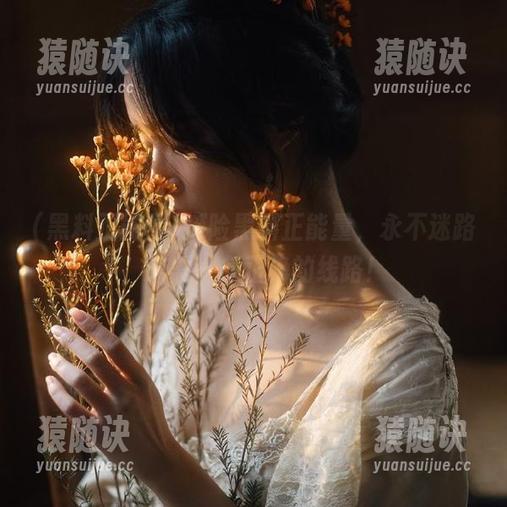 探险黑料正能量，永不迷路，只需一条正确的线路！